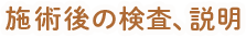 施述語の検査、説明